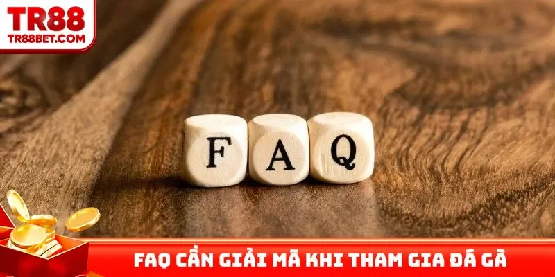 FAQ cần giải mã khi tham gia đá gà tại nhà cái