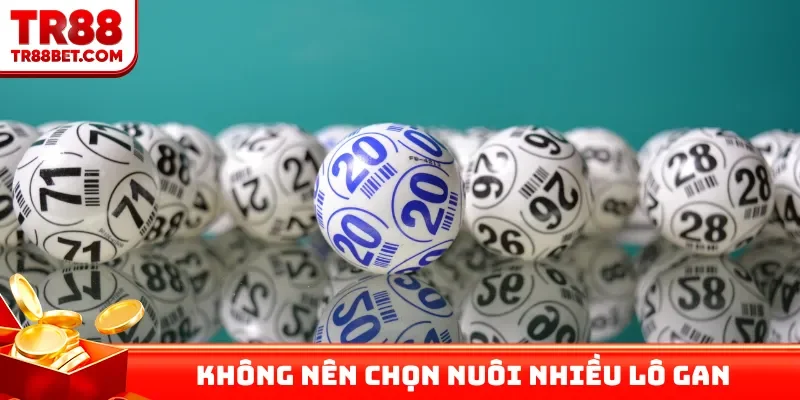 Không nên chọn nuôi nhiều lô gan cùng lúc
