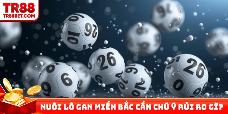 Nuôi lô gan miền Bắc cần chú ý rủi ro gì?